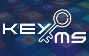 web bán phần mềm ekeyms